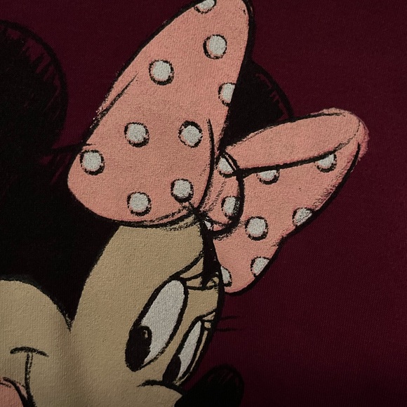 Disney Mickey & Minnie Hoodie Sweatshirt size 2X - Picture 6 of 9